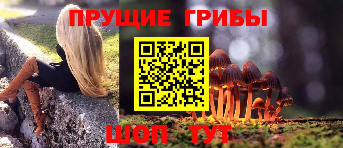 Псилоцибиновые грибы ЛСД  Вход с VPN  Кызыл 